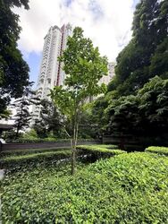 Martin Modern (D9), Condominium #600336161